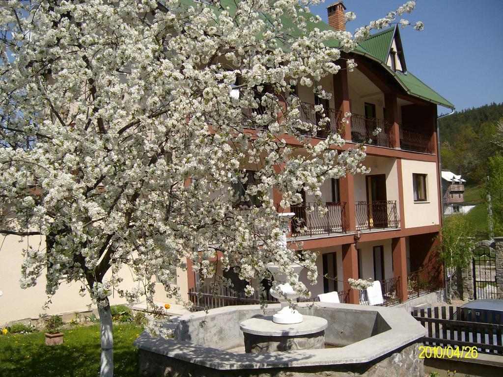 Mokus Panzio Bed and Breakfast Bicfălău Zewnętrze zdjęcie