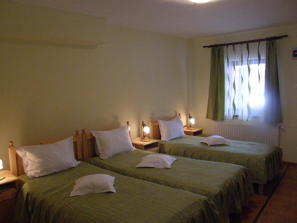 Mokus Panzio Bed and Breakfast Bicfălău Pokój zdjęcie