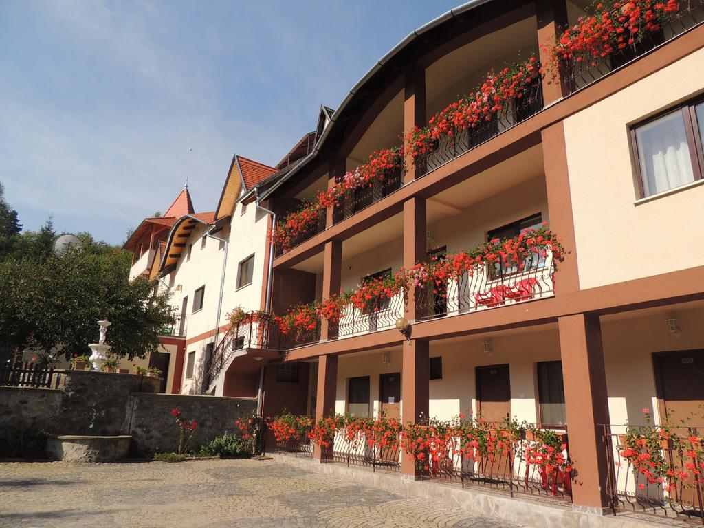 Mokus Panzio Bed and Breakfast Bicfălău Zewnętrze zdjęcie
