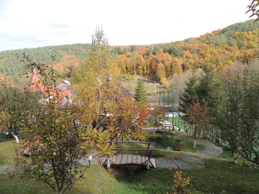 Mokus Panzio Bed and Breakfast Bicfălău Zewnętrze zdjęcie